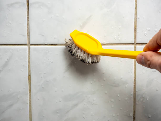 Best Mold Cleaning Services  in Kaibito, AZ
